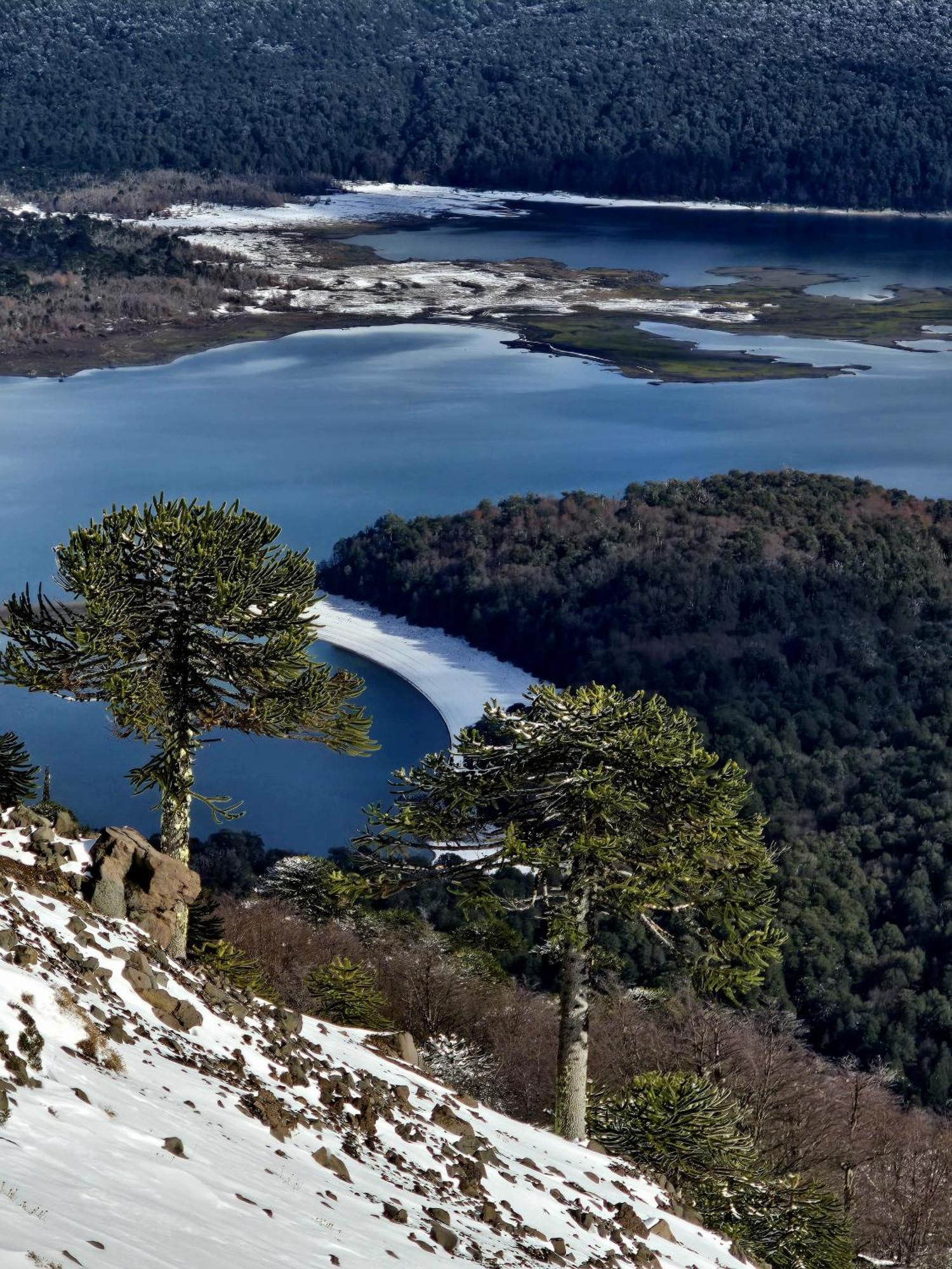 Chalet Pewma Conguillio *